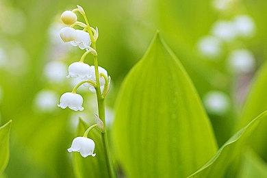 高难挑战！《艾尔登法环：黑夜君临》深夜模式上线！